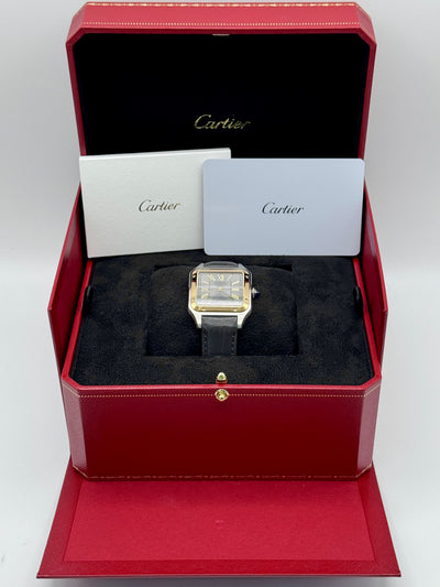 2025 Cartier Santos-Dumont Large 44 x 31mm Stainless Steel W2SA0036