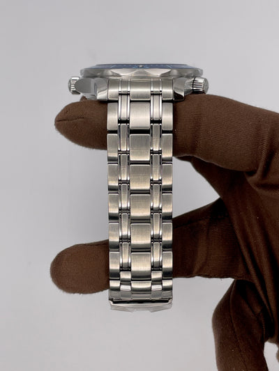 2025 Omega Seamaster Diver 300m 42mm Stainless Steel 210.20.42.20.03.003