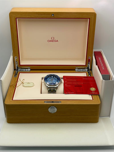 2025 Omega Seamaster Diver 300m 42mm Stainless Steel 210.20.42.20.03.003