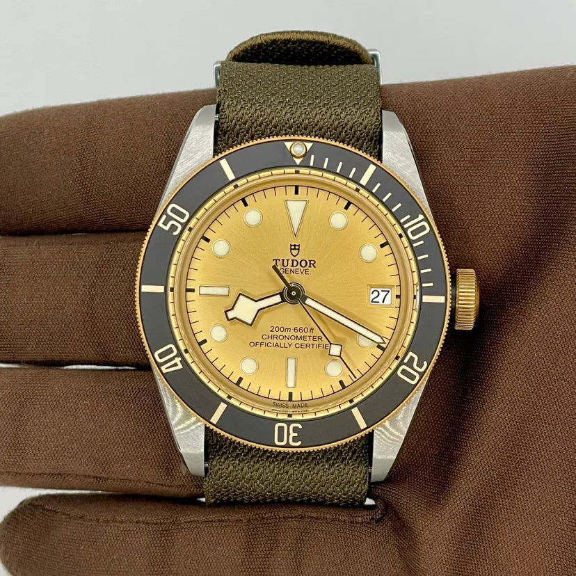 NEW 2022 Tudor Black Bay S&G Nato Strap 41mm Champagne Dial M79733N-0006