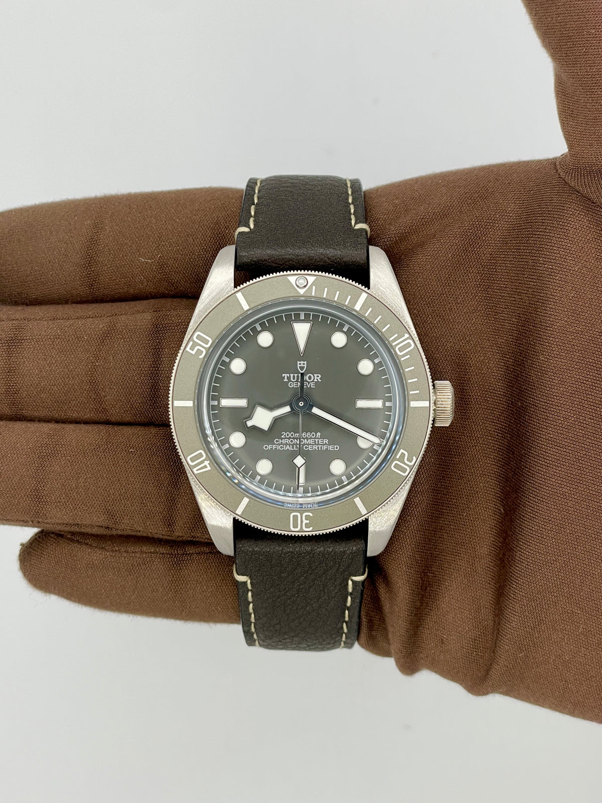 Tudor Black Bay 58 925 M79010SG-0001