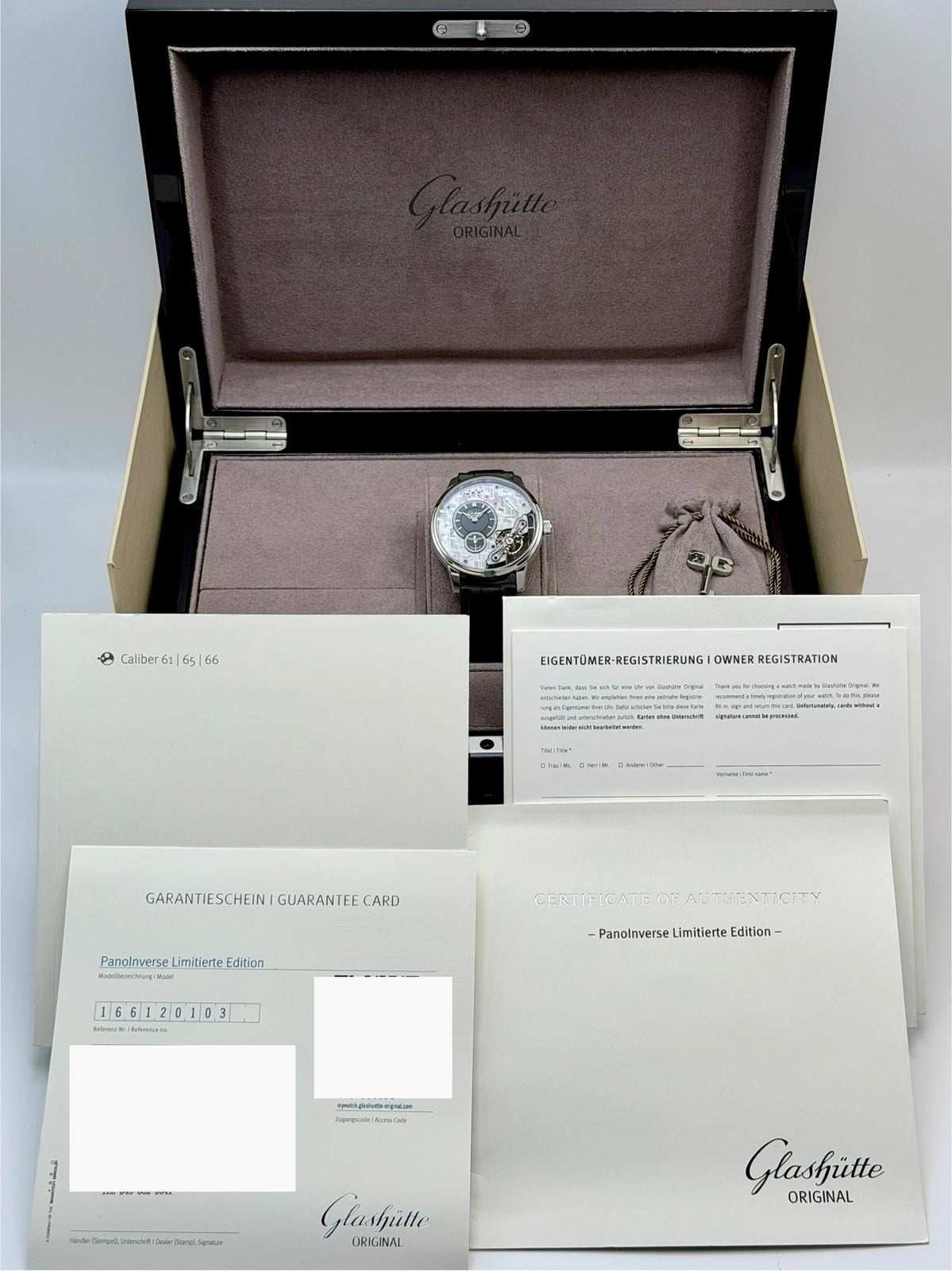 Glashütte Original PanoInverse Limited Edition 1-66-12-01-03 — photo 9 of 9