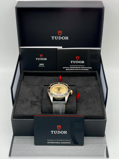 2025 Tudor Black Bay S&G 41mm Stainless Steel/Yellow Gold M79733N-0003