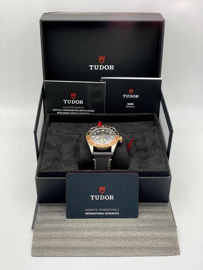 2025 Tudor Black Bay GMT 41mm Stainless Steel M79833MN-0003