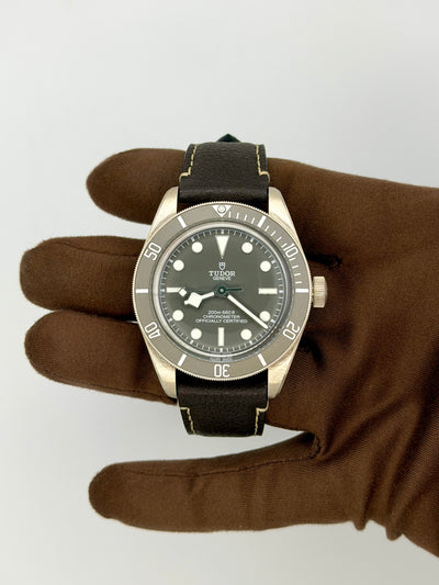 2025 Tudor Black Bay 58 925 39mm Sterling Silver M79010SG-0001