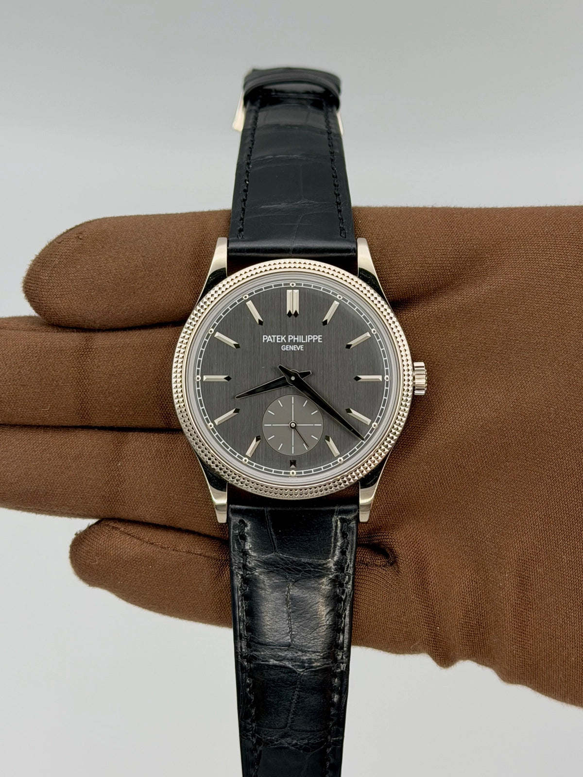 2026 Patek Philippe Calatrava 39mm White Gold 6119G-001
